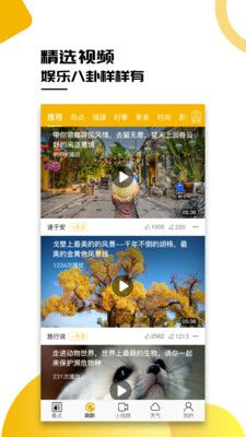 小熊宝_图片2