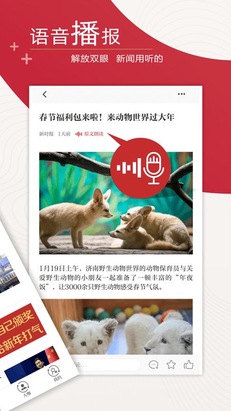 新时报_图片2