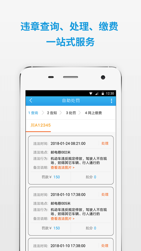 四川公安交警公共服务平台_图片3