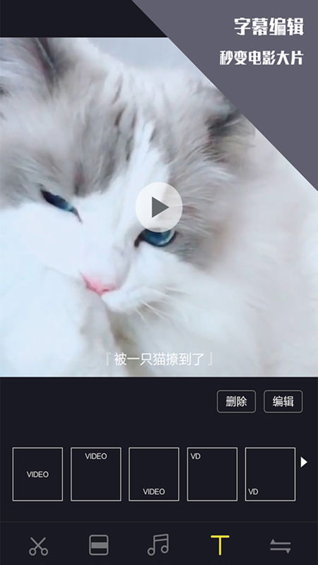 袋鼠视频_图片4