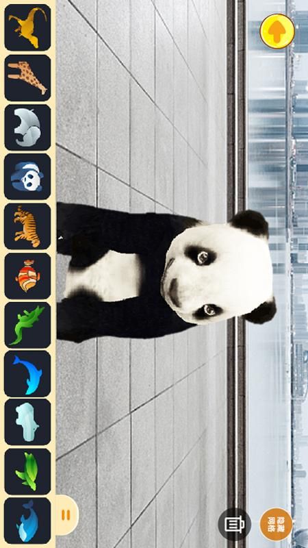 帮帮龙_图片5