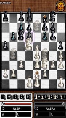 国际象棋之王_图片3