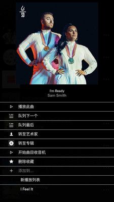 Naim_图片1