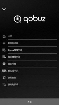 Naim_图片2