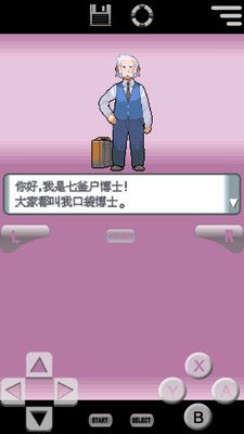 口袋妖怪珍珠_图片2