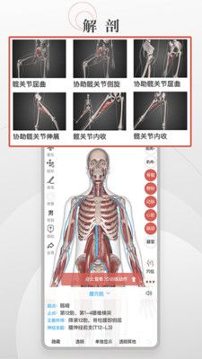 3D运动健康_图片1