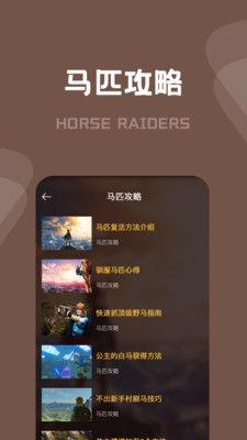 塞尔达传说攻略_图片4