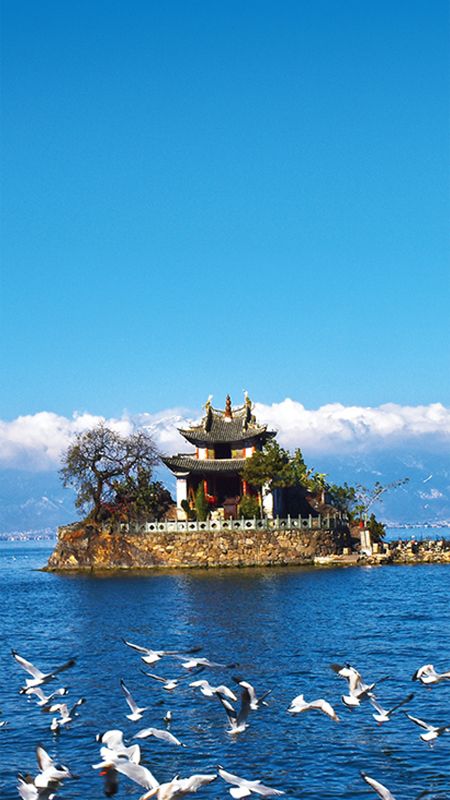 大理文旅_图片3
