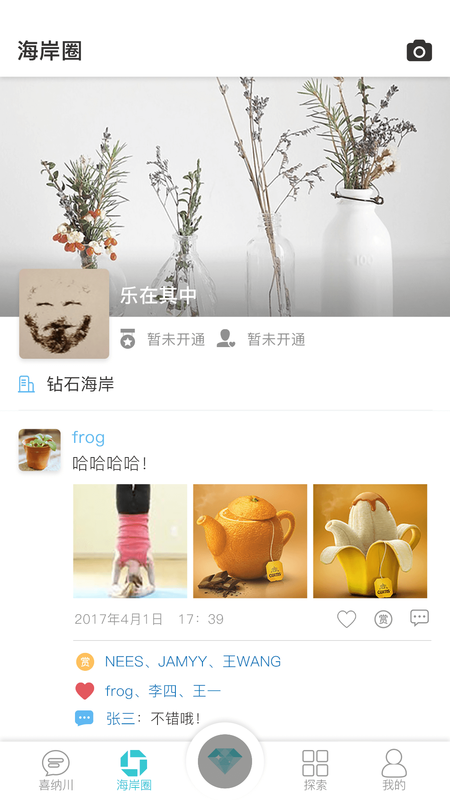 钻石海岸_图片2
