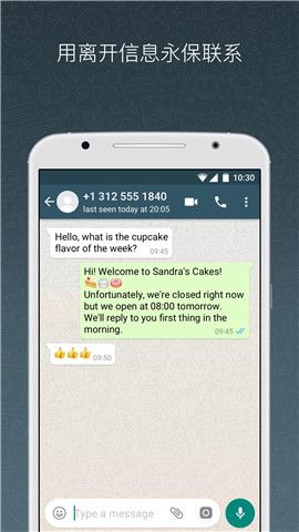 Whatsapp Business_图片3