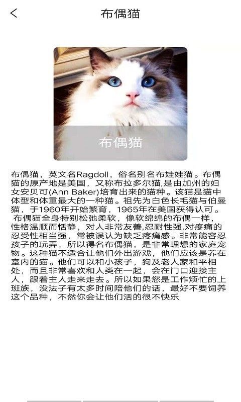 随身动物园_图片2