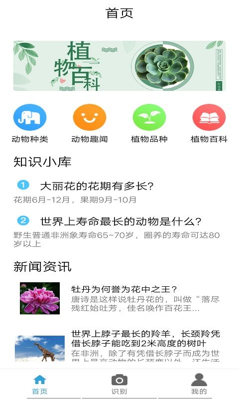 植物品鉴_图片1