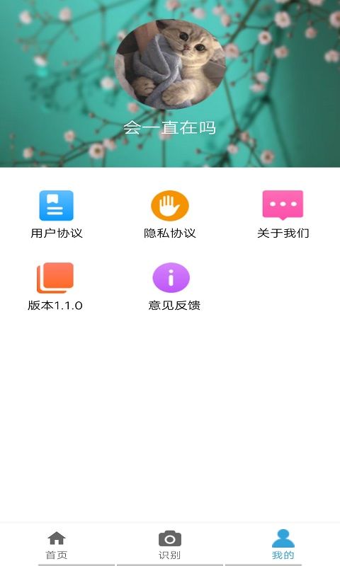 植物品鉴_图片3