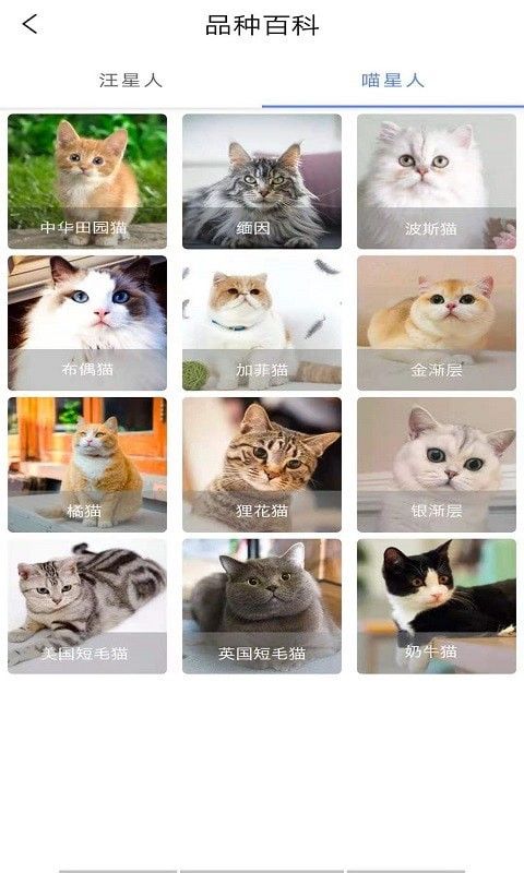 随身动物园_图片3