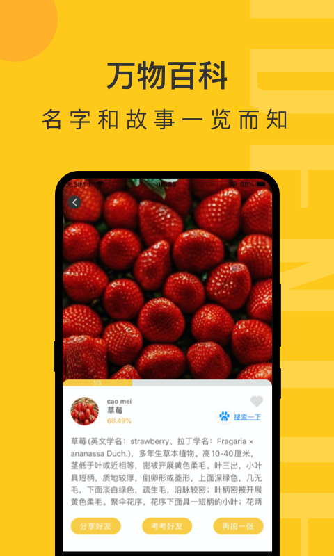 智慧识物_图片4