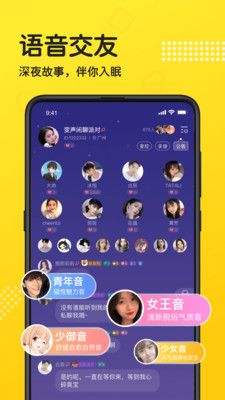 连麦语音_图片2