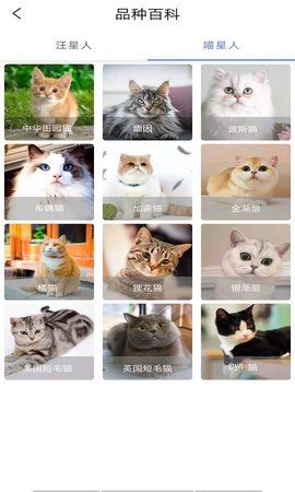 优宠快报_图片4