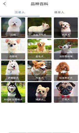 优宠快报_图片3