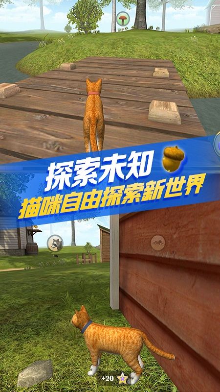 猫咪生存模拟_图片2