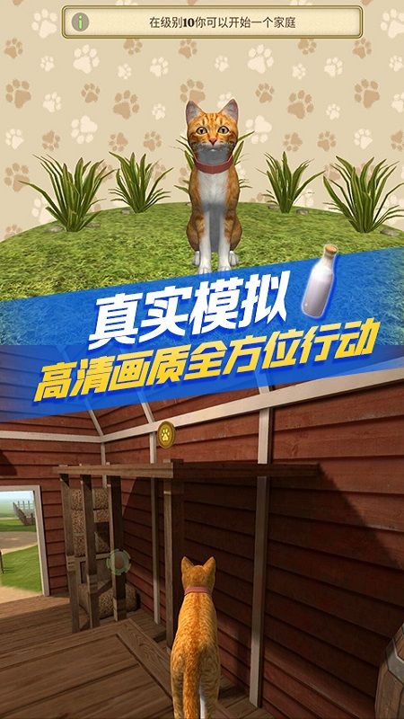 猫咪生存模拟_图片1
