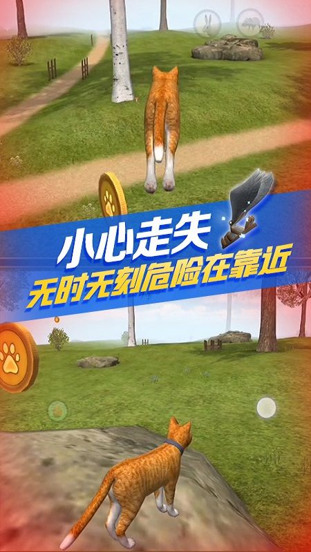 猫咪生存模拟_图片4