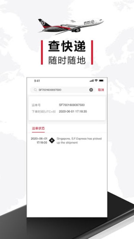 顺丰国际快递_图片1