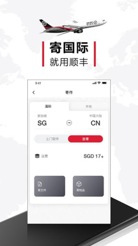 顺丰国际快递_图片2