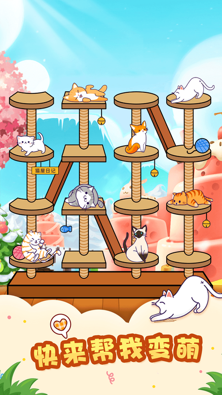 猫屋日记_图片1