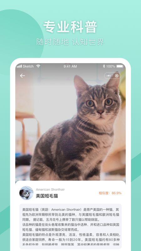 六六AI识图_图片3