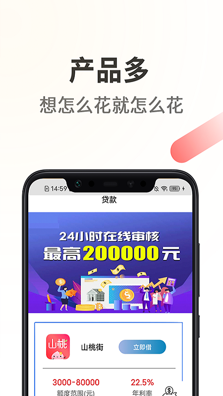 铂银借_图片4
