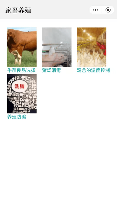 家畜养殖_图片2