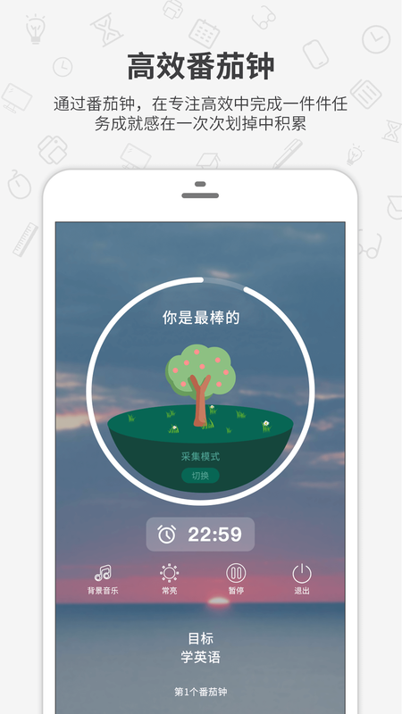 番茄森林_图片1
