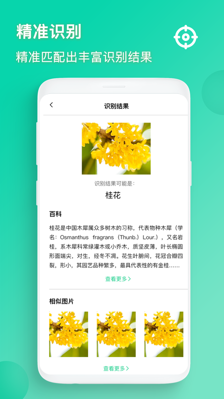 识图_图片4