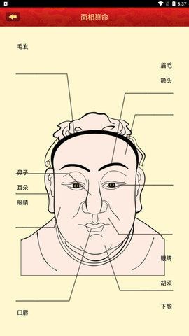 看相大全_图片1