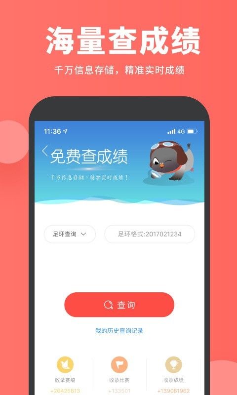 搜鸽_图片3