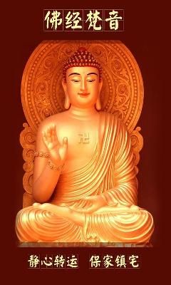 听佛经_图片2