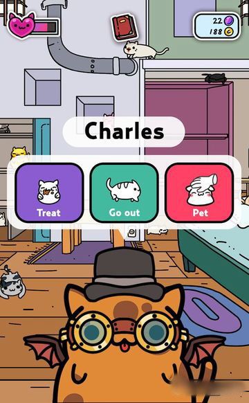 小偷猫_图片2