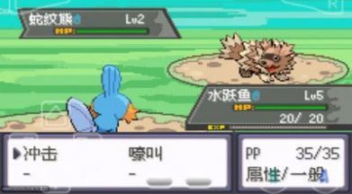 口袋妖怪究极绿宝石全随机_图片2