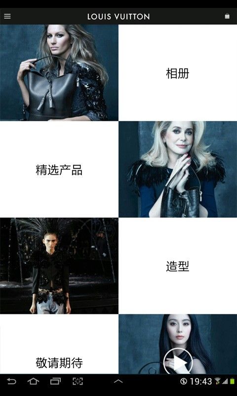 LV Pass_图片1