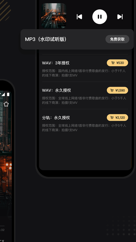 必恣_图片4