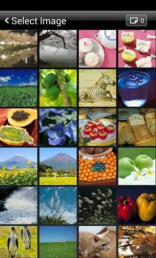 canon print business_图片2