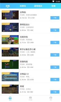 gg泰拉瑞亚盒子安卓版_图片4