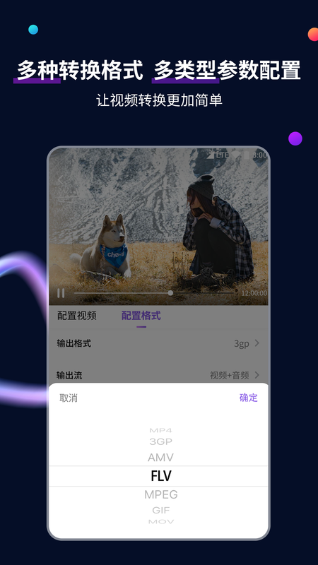 视频格式转换工具_图片2