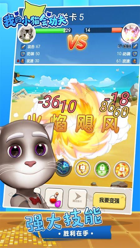 我的小猫会功夫_图片5