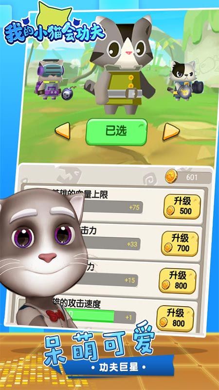 我的小猫会功夫_图片3