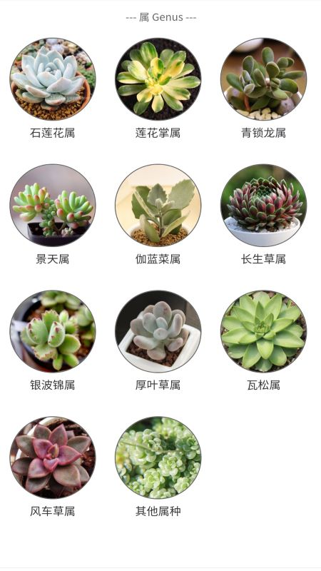 植物君_图片5