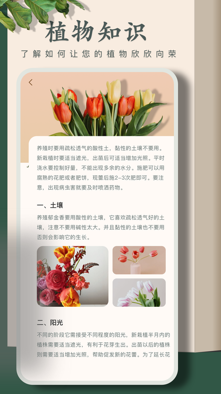 识别花_图片3