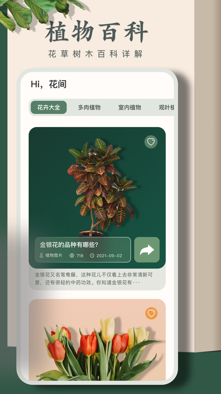 识别花_图片2
