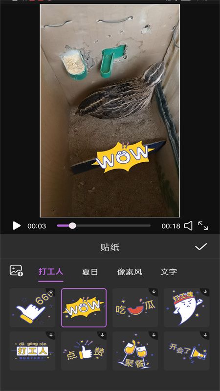视频编辑MyIE?_图片1