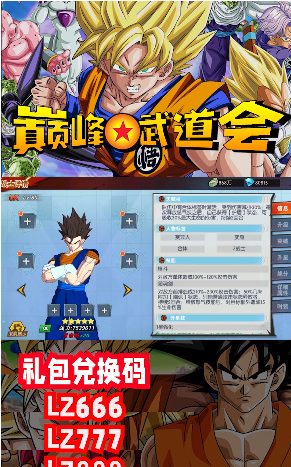 巅峰武道会_图片3
